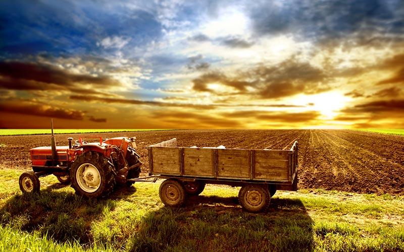 Farm and Ranch Insurance in ND