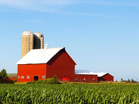 Agriculture Insurance in Valley City, ND